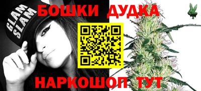 гидропоника Обь