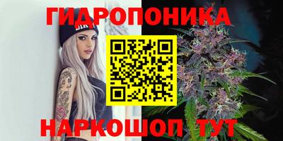 jwh Обнинск