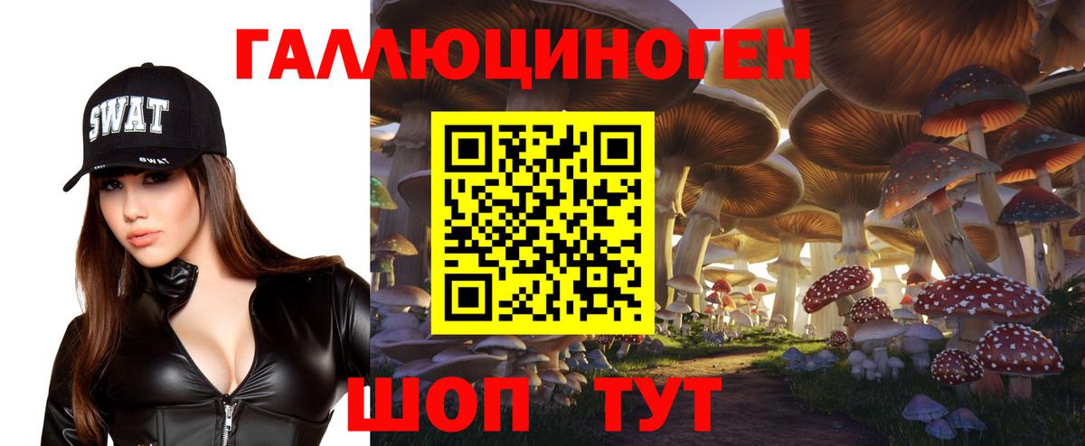 Псилоцибиновые грибы Psilocybine cubensis  Вход с VPN  Партизанск 